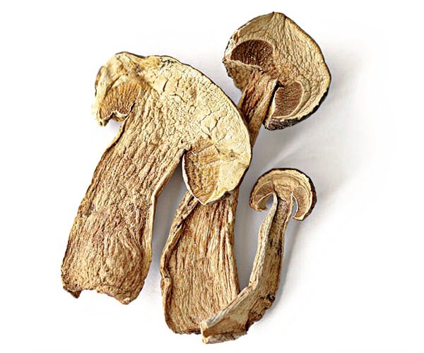 ароматные сушеные белые грибы имеют глубокую землистую сущность, которая дополняет итальянские приправы