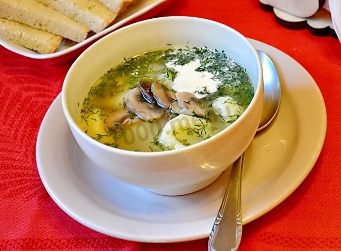 Грибные супы из консервированных шампиньонов: рецепты и фото, как приготовить первые блюда