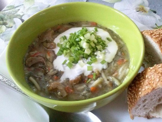 Грибные супы из свежих, замороженных и сушёных подосиновиков: фото, рецепты, как варить первые блюда