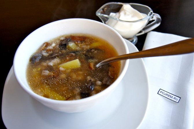 Грибные супы из свежих, замороженных и сушёных подосиновиков: фото, рецепты, как варить первые блюда