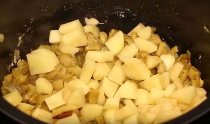 Как приготовить белые грибы в мультиварке: рецепты с фото, тушеные, жареные и сушеные боровики