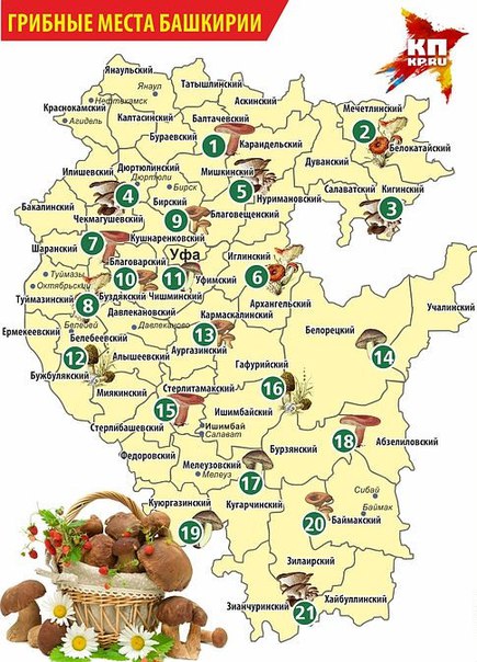Карта грибных мест Башкирии