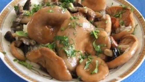 маринованные грибы волнушки