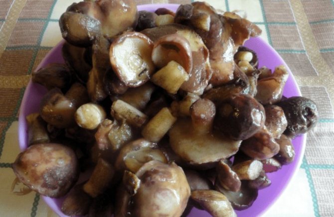 Маслята на зиму - способы очистки грибов, сушка, заморозка и рецепты маринования