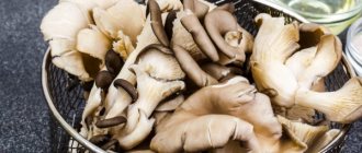 Отварить грибы с луковицей