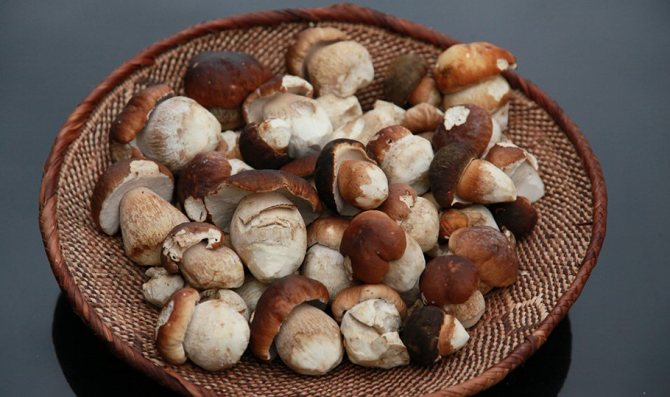 Отварить грибы с луковицей