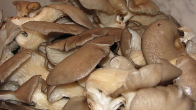 Рецепт с грибами