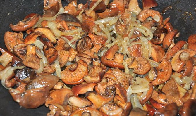 Рецепты рыжиков с картошкой в сметане: как приготовить жареные и тушеные грибные блюда