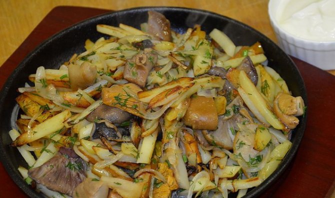 Рецепты рыжиков с картошкой в сметане: как приготовить жареные и тушеные грибные блюда