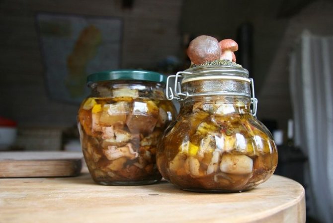 Соленые грибы – как хранить в домашних условиях заготовки в банках на зиму